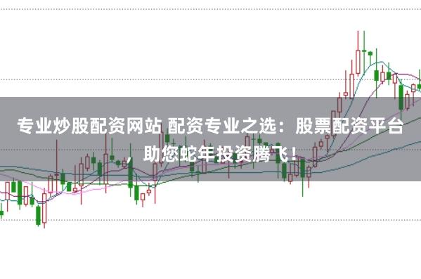 专业炒股配资网站 配资专业之选：股票配资平台，助您蛇年投资腾飞！