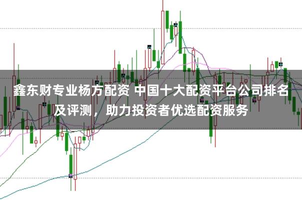 鑫东财专业杨方配资 中国十大配资平台公司排名及评测,助力投资者优选配资服务