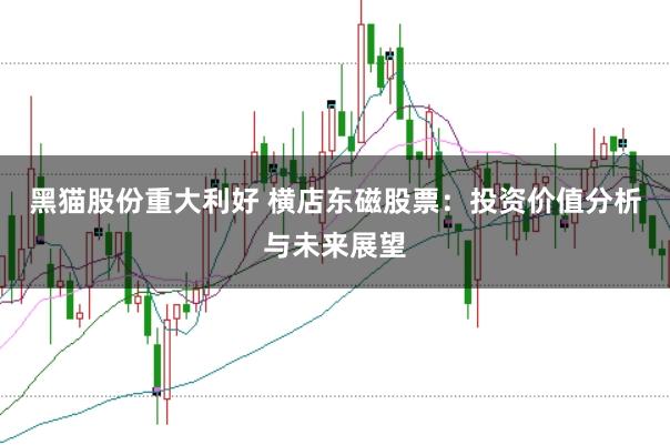 黑猫股份重大利好 横店东磁股票：投资价值分析与未来展望