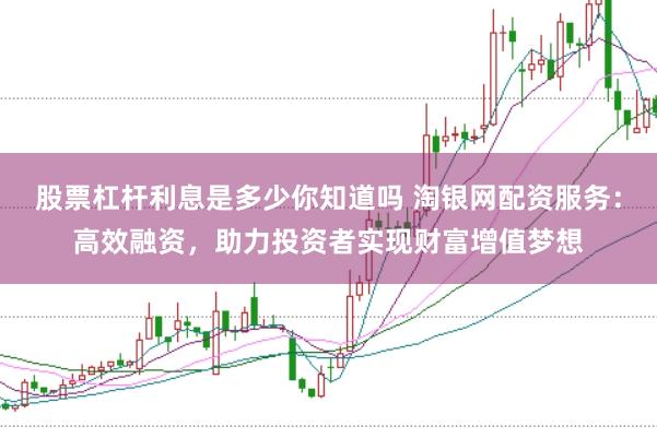 股票杠杆利息是多少你知道吗 淘银网配资服务:高效融资,助力投资者实现财富增值梦想