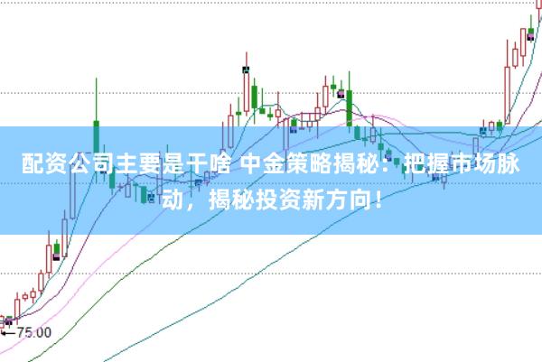 配资公司主要是干啥 中金策略揭秘：把握市场脉动，揭秘投资新方向！