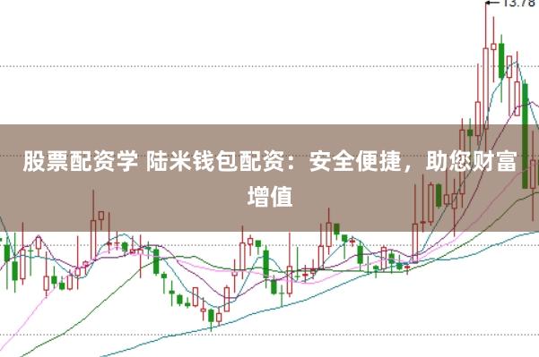 股票配资学 陆米钱包配资：安全便捷，助您财富增值