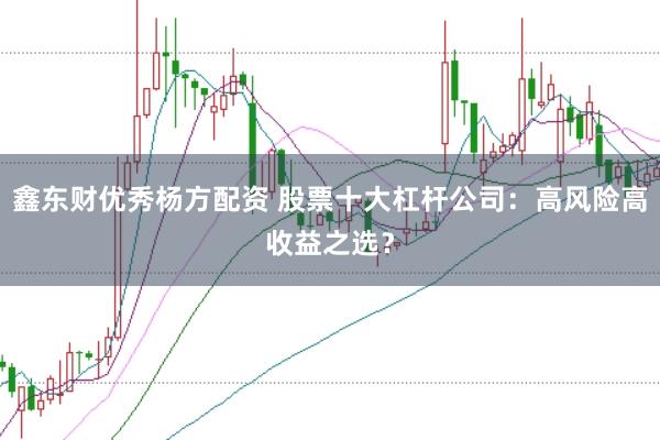 鑫东财优秀杨方配资 股票十大杠杆公司：高风险高收益之选？