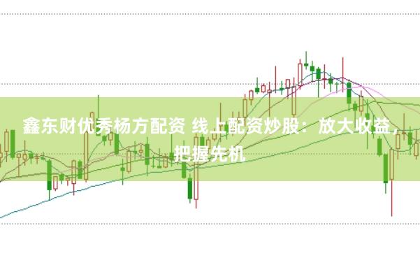 鑫东财优秀杨方配资 线上配资炒股：放大收益，把握先机