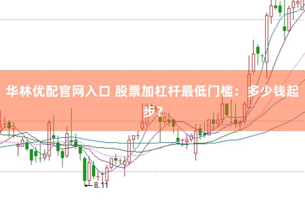 华林优配官网入口 股票加杠杆最低门槛：多少钱起步？
