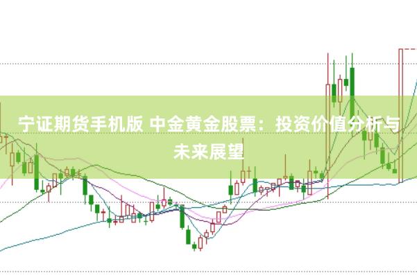 宁证期货手机版 中金黄金股票：投资价值分析与未来展望