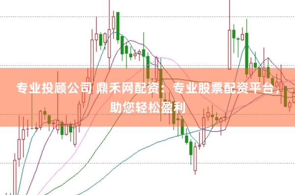 专业投顾公司 鼎禾网配资:专业股票配资平台,助您轻松盈利