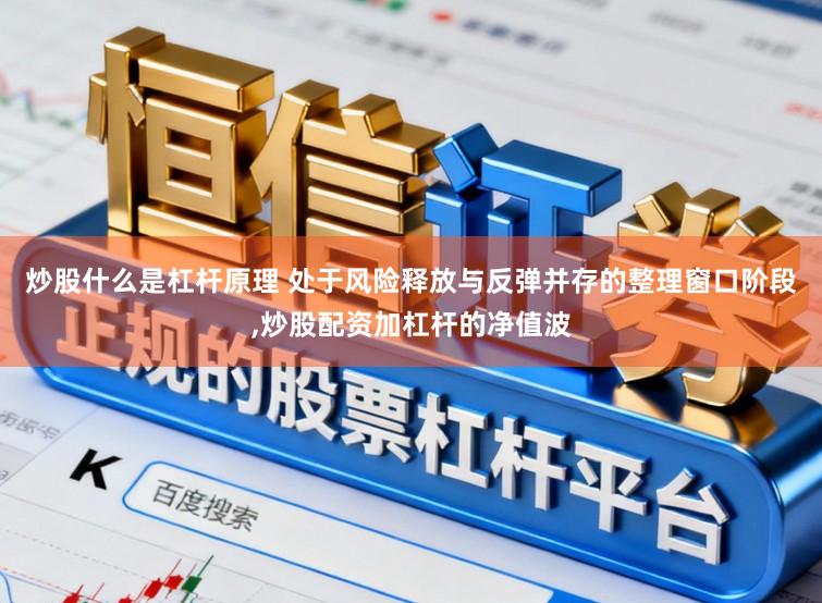 炒股什么是杠杆原理 处于风险释放与反弹并存的整理窗口阶段,炒股配资加杠杆的净值波